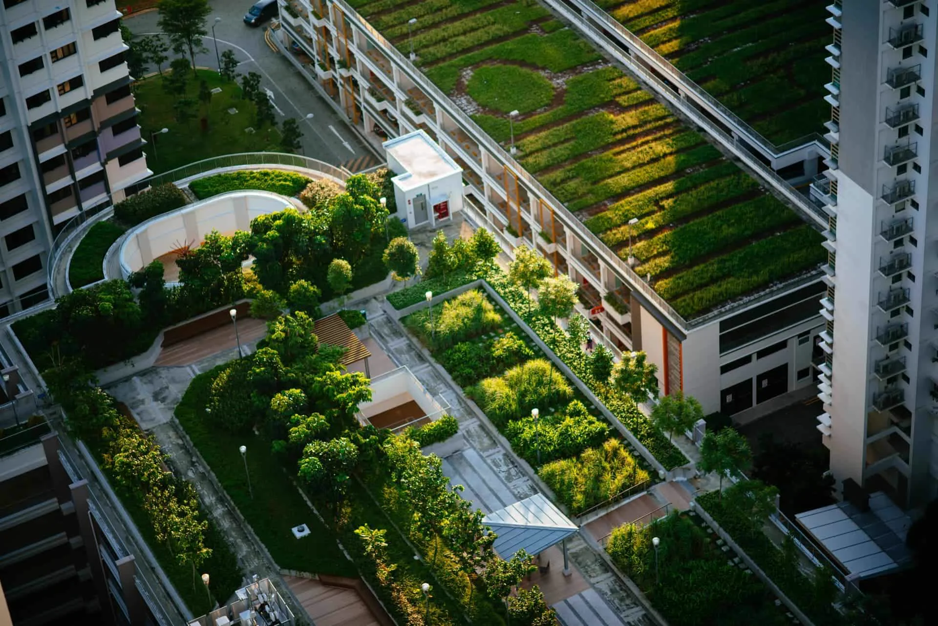 Dachgarten Begrünung Bonn – Brüder Berisha Garten- und Landschaftsbau