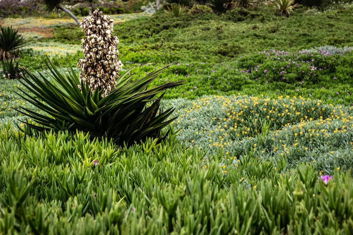 Gartengestaltung Bepflanzung Bonn – Brüder Berisha Garten- und Landschaftsbau