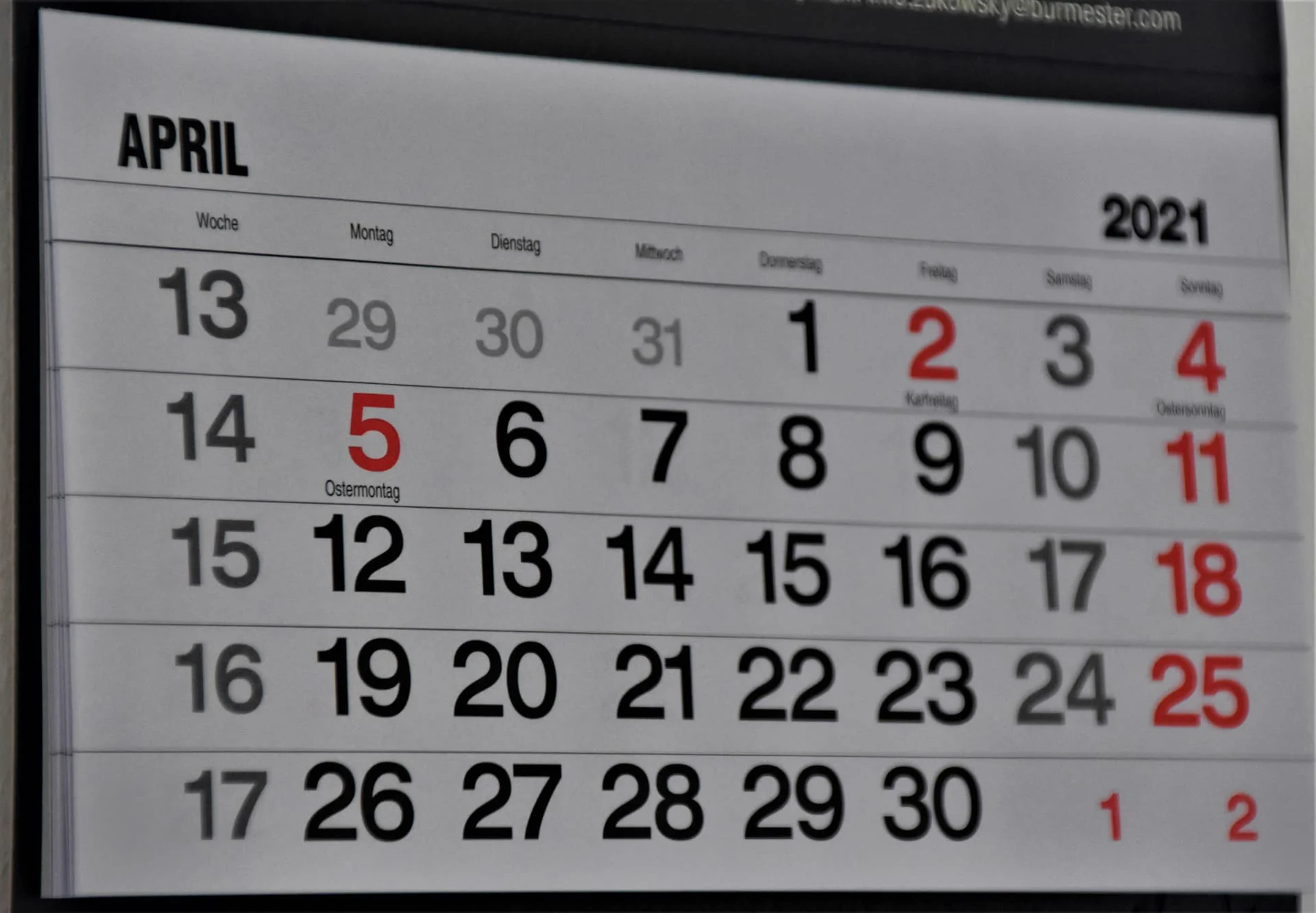Gartenkalender Gartenpflege Jahresplan Bonn Köln Sankt Augustin – Brüder Berisha Garten- und Landschaftsbau NRW