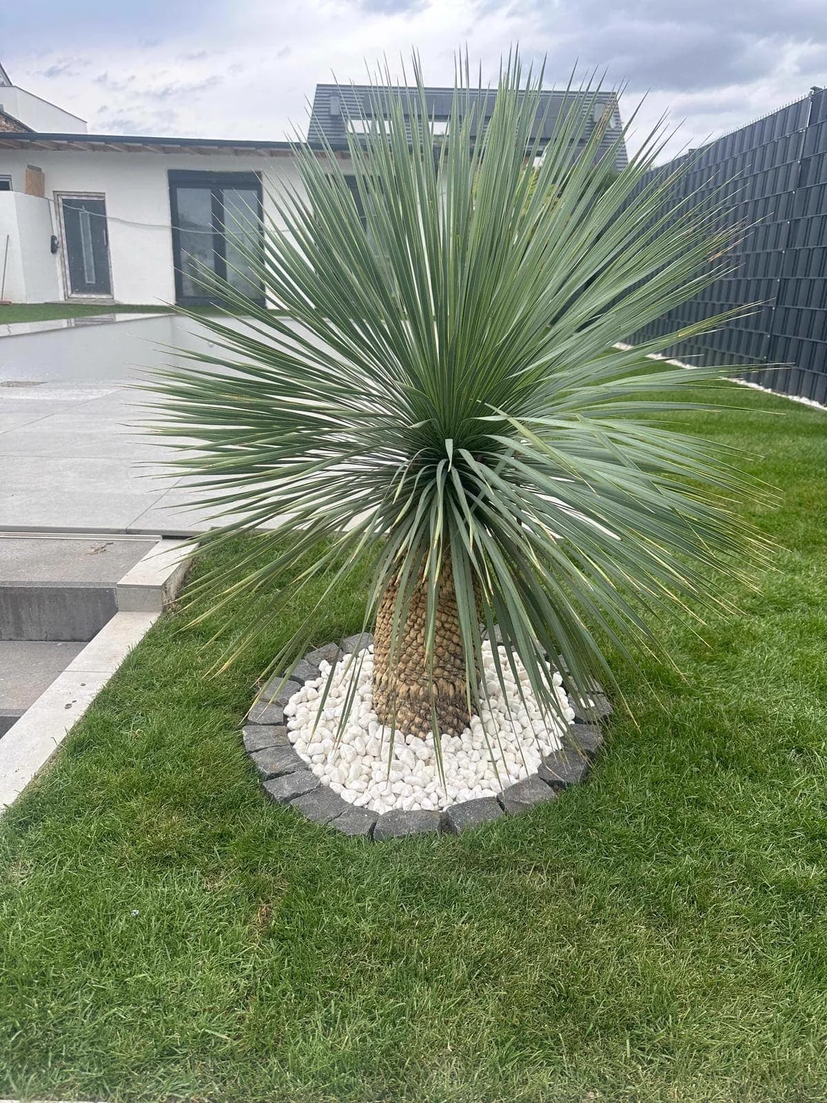 Gartengestaltung – Brüder Berisha